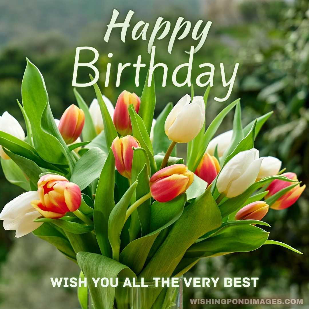 Tulips in nature background