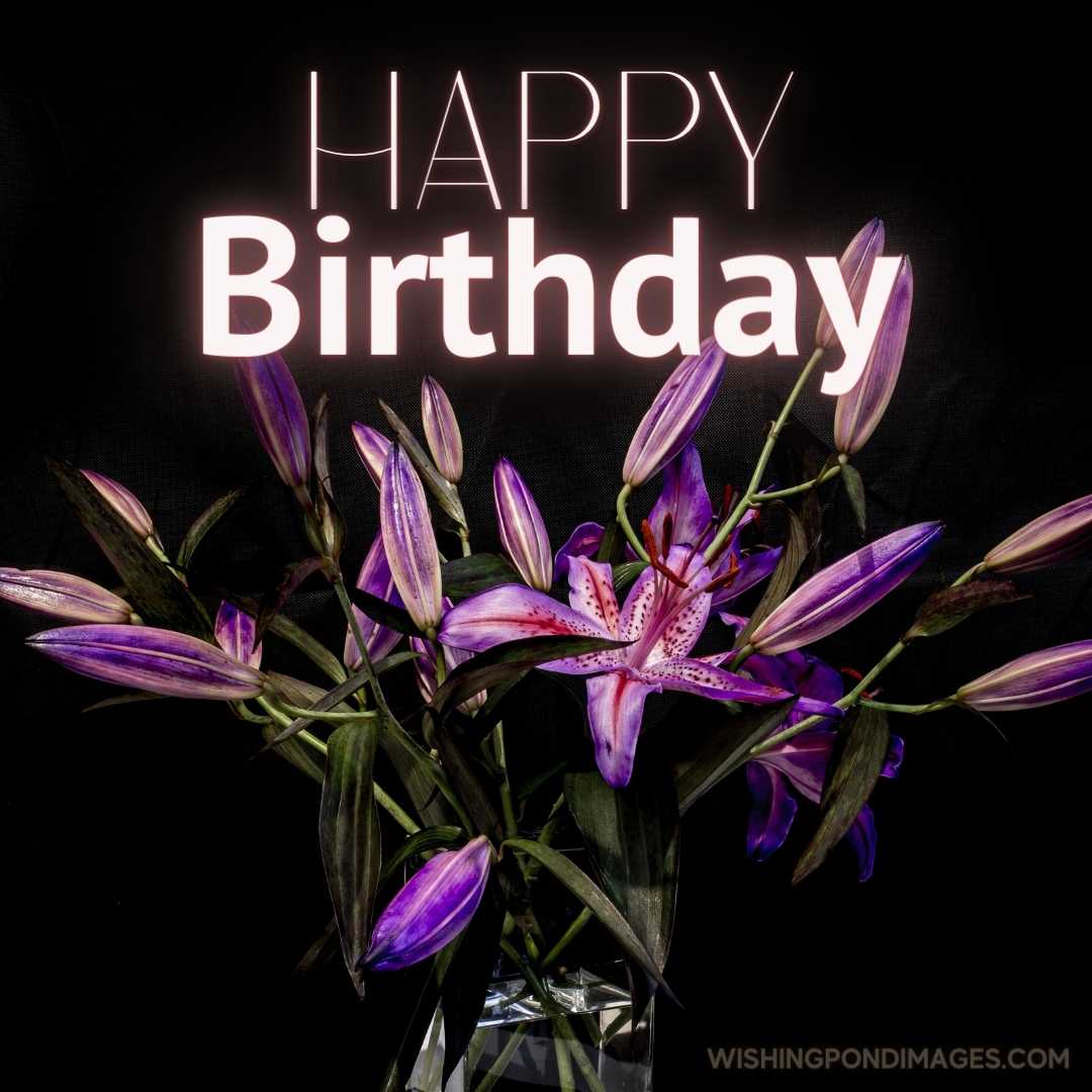 A beautiful bouquet of purple stargazer buds with one bloom in a base-isolated on black background.