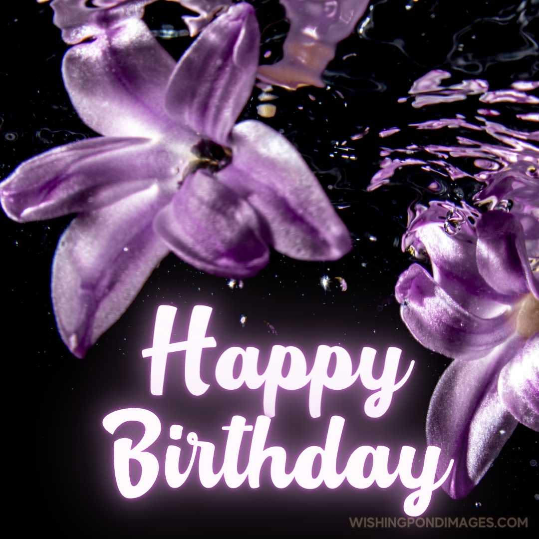 A closeup shot of pink hyacinth flowers underwater with a dark background.